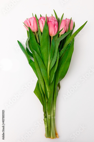 bouquet of tulips. Bunch of pink tulips. Bouquet with flowers. Spring tulips. Spring mood  © Marianna