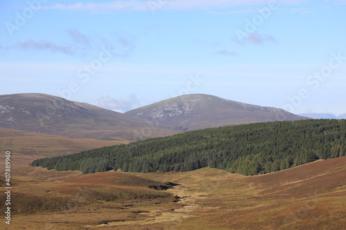 Scotland landscape in the summer