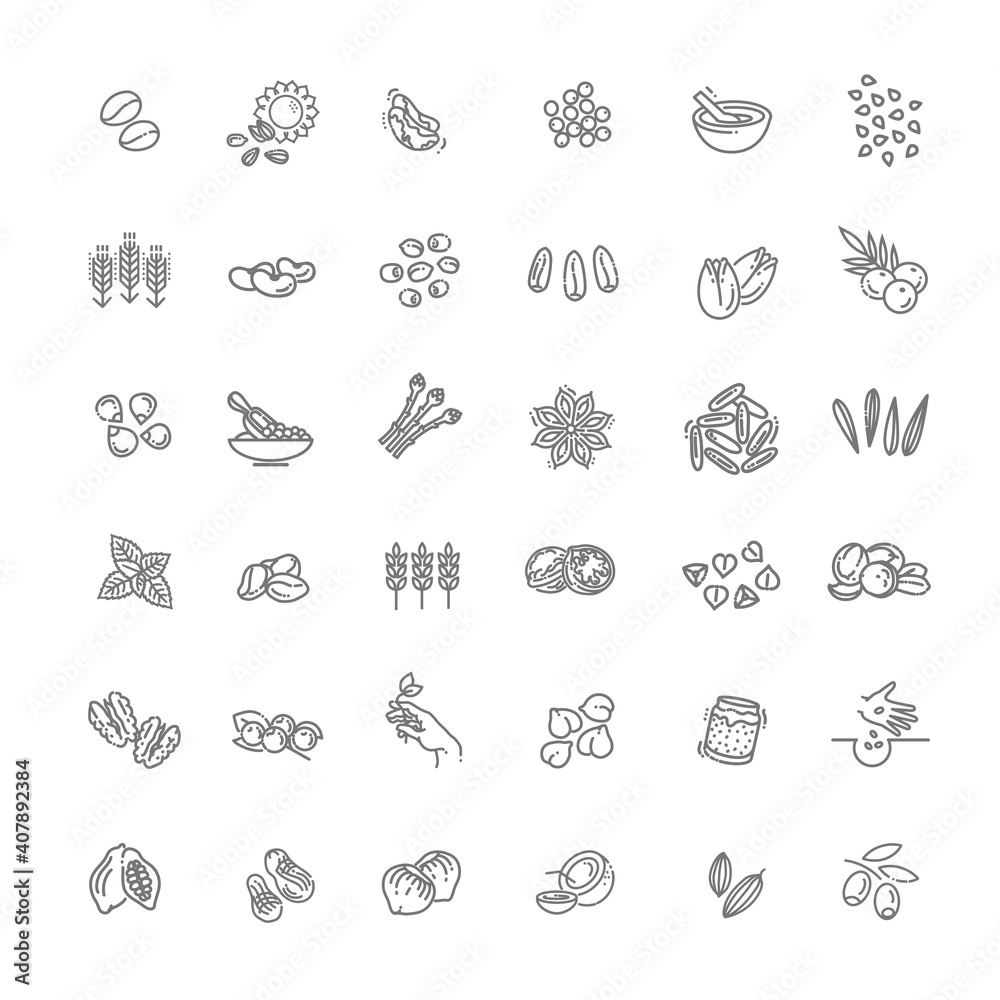 Plant seed, nuts and berries vector icon set