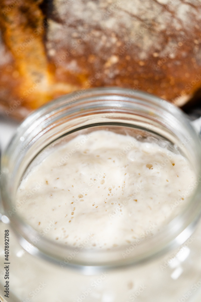Sourdough starter Sourdough starter