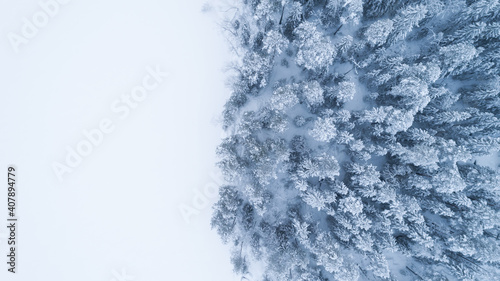 Cold winter with white snow in North of Europe, aerial panoramic view above a forest covered with snow, beautiful season with frozen nature