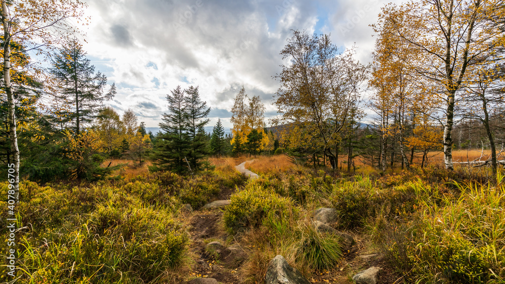 Colorful landscape at the Harz Mountain National Park in Germany Colorful landscape at the Harz Mountain National Park in Germany