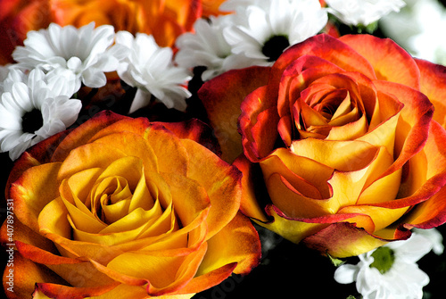 bouquet de roses oranges