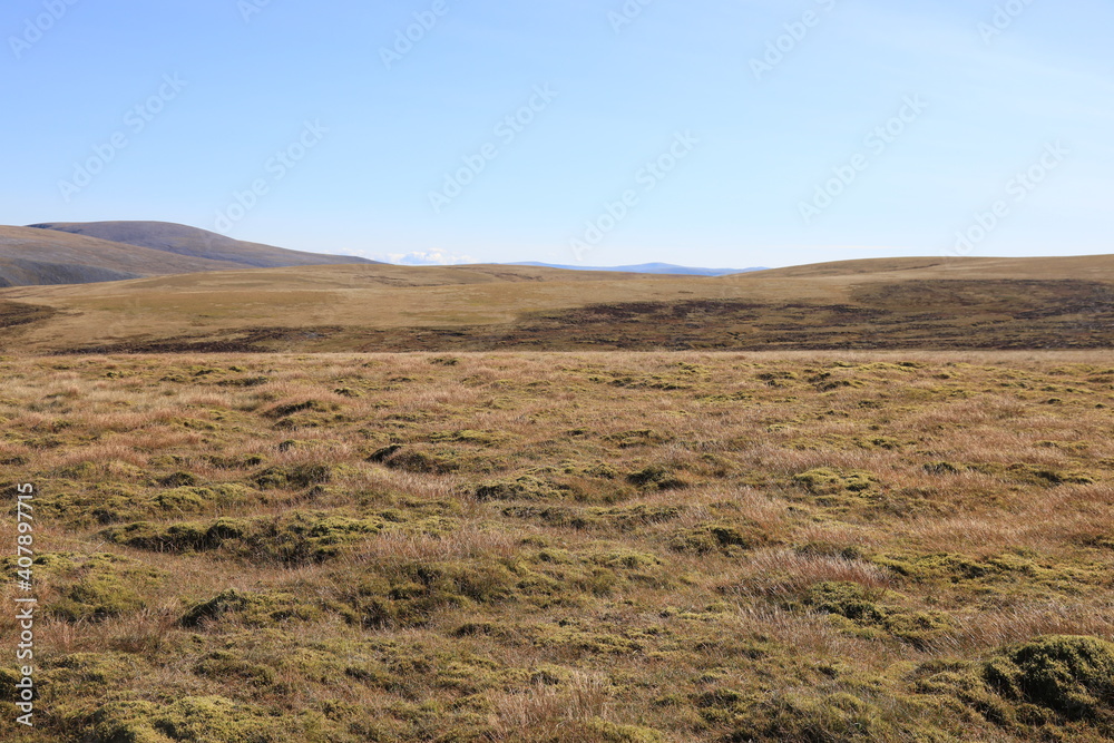 Scottish landscape