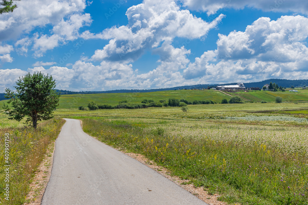 road in the countryside road in the countryside