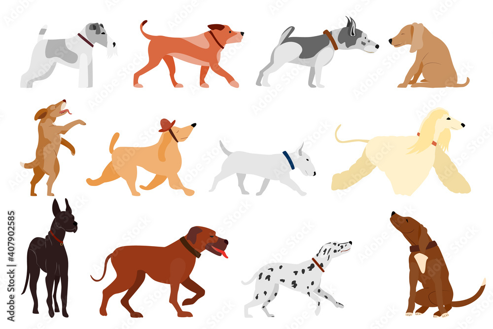 Fototapeta premium A set of dogs of different breeds in different poses. Vector in a flat style isolated on white. Pets in a collar. Dogs run and sit.