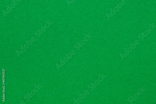 Detail of green colour paper sheet (school poster board) texture. Plain background