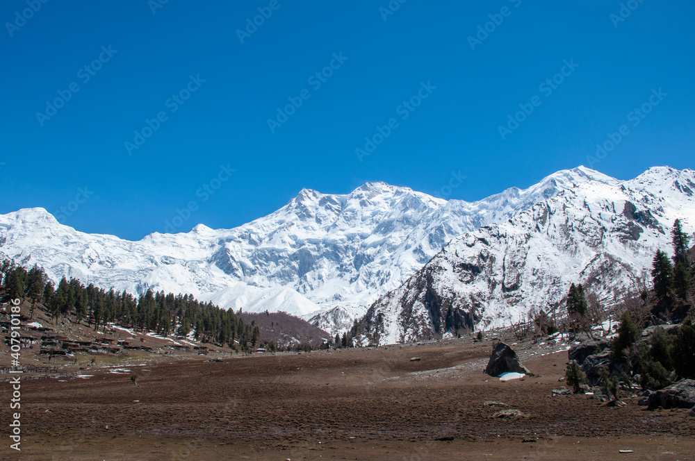Fototapeta premium landscape with snow