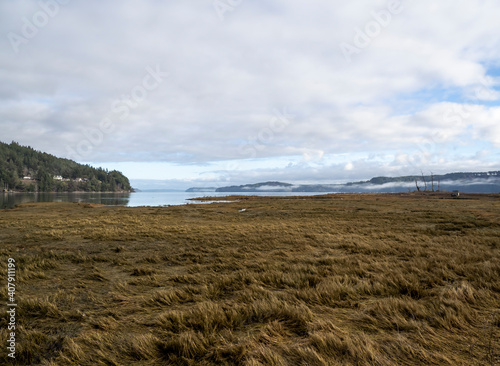 Day of Fog on the Hood Canal