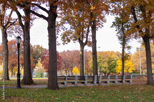 Photography Queensbridge Park in Long Island City Queens New York during Autumn with Colorfu