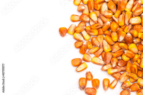 Yellow corn seeds with text space