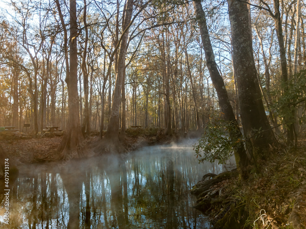 Fototapeta premium Early Winter Morning on Little Devil's Spring Run at Ginnie Springs on the Santa Fe River, Florida