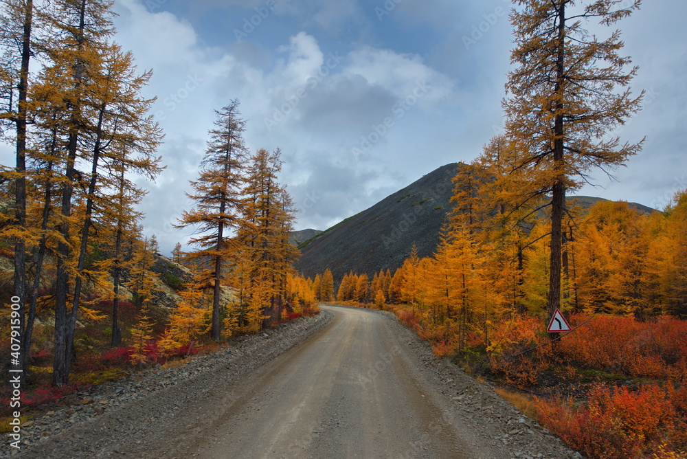 Russia. Far East, Magadan region. Autumn Taiga on permafrost along the highway Magadan - Yakutsk.