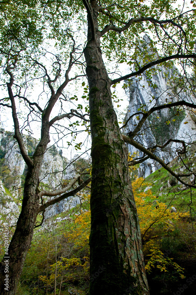 Río Casaño, afluente del Cares,Puente Pompedro, Concejo de Cabrales, Asturias Río Casaño, afluente del Cares,Puente Pompedro, Concejo de Cabrales, Asturias