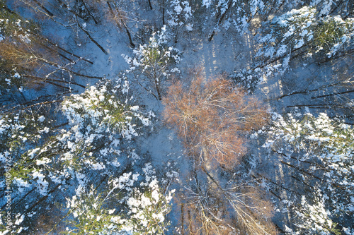 Background texture of a frozen forest at winter, aerial shot. Mountain, over.