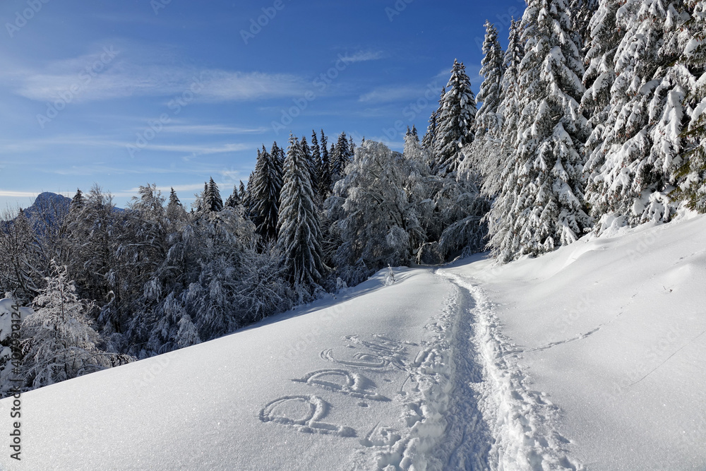 Fototapeta premium Randonnée raquettes en Janvier 2021 dans le massif du Vercors avec une neige et un temps exceptionnels