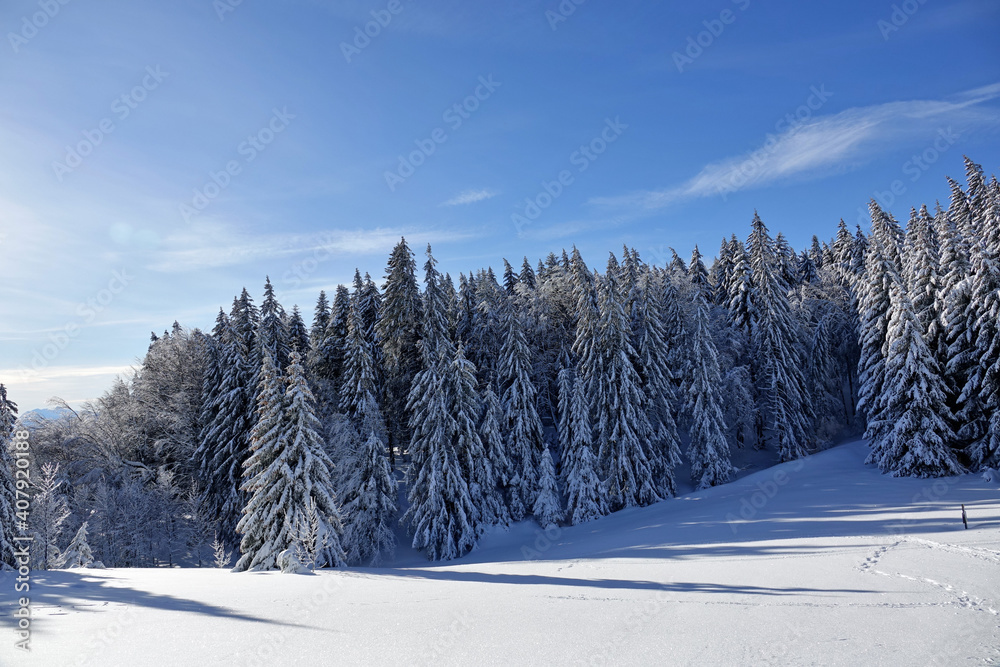 Randonnée raquettes en Janvier 2021 dans le massif du Vercors avec une neige et un temps exceptionnels