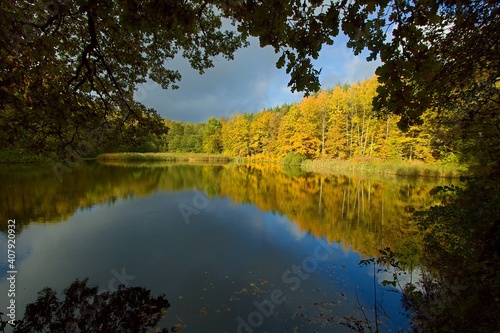 Forest lake during colorful autumn in National Park Podyji, Czech Republic
