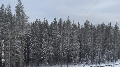 Snow-covered firs. The view from the air.