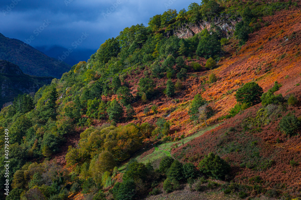Paisaje en otoño, Comarca Fuentes del Narcea, Asturias.