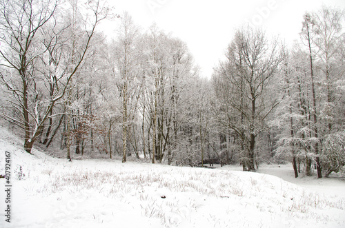 Winter landscape. © Iza