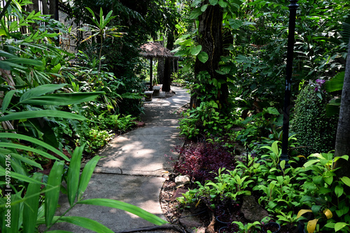 Garden walkways covered with stone slabs  nature background in the park at Thailand.