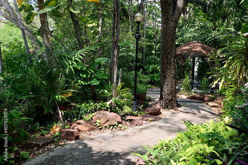 Garden walkways covered with stone slabs  nature background in the park at Thailand.