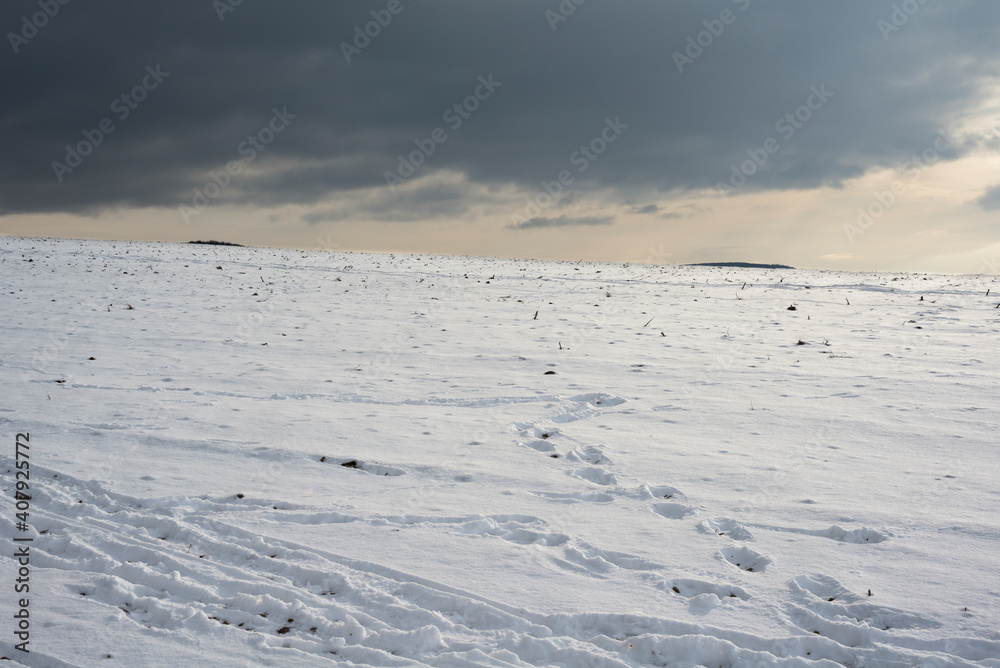 Landscape covered with a snow in the winter