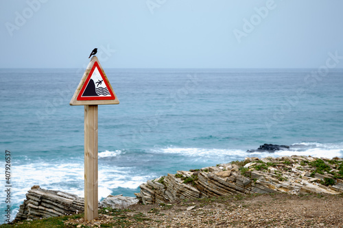 Pájaro sobre señal en la costa de España