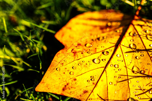 Sol de otoño