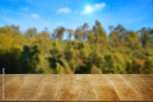 top background jungle with nice view table photo