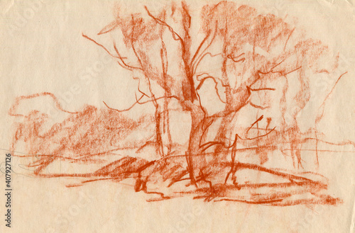 Φωτογραφία sketch of trees using the sanguine technique