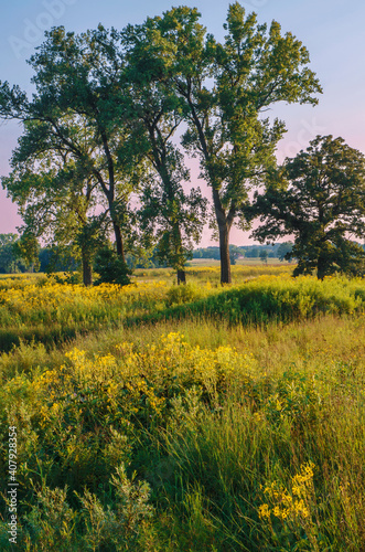 591-49 Glacial Park Grasslands at Dusk