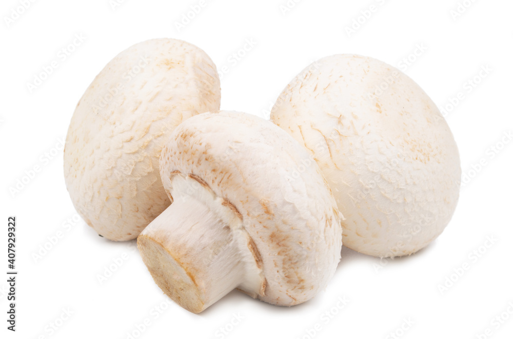 fresh group of mushroom isolated on white background fresh group of mushroom isolated on white background