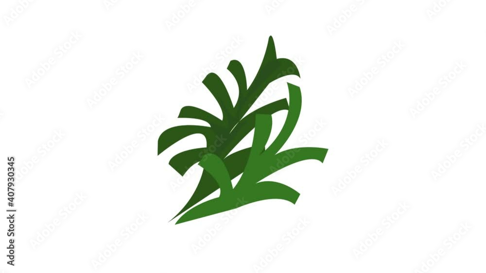Lettuce icon animation best object on white background Lettuce icon animation best object on white background