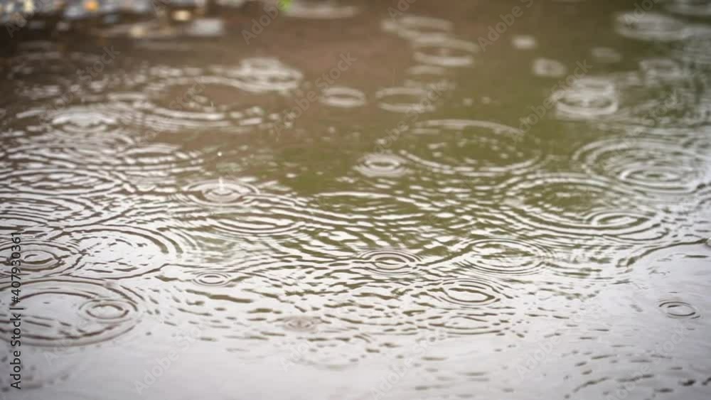 Amazing rain drop patterns in a puddle of water. Amazing rain drop patterns in a puddle of water.