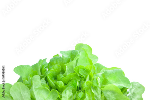 Salad leaf