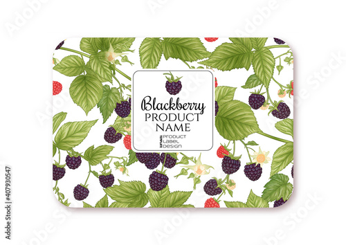 Blackberry. Ripe berries on branch. Template for product label, cosmetic packaging. Easy to edit. Graphic drawing, engraving style. Vector illustration..