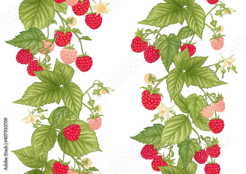 Raspberry. Ripe berries on branch. Seamless pattern, background. Graphic drawing, engraving style. Vector illustration