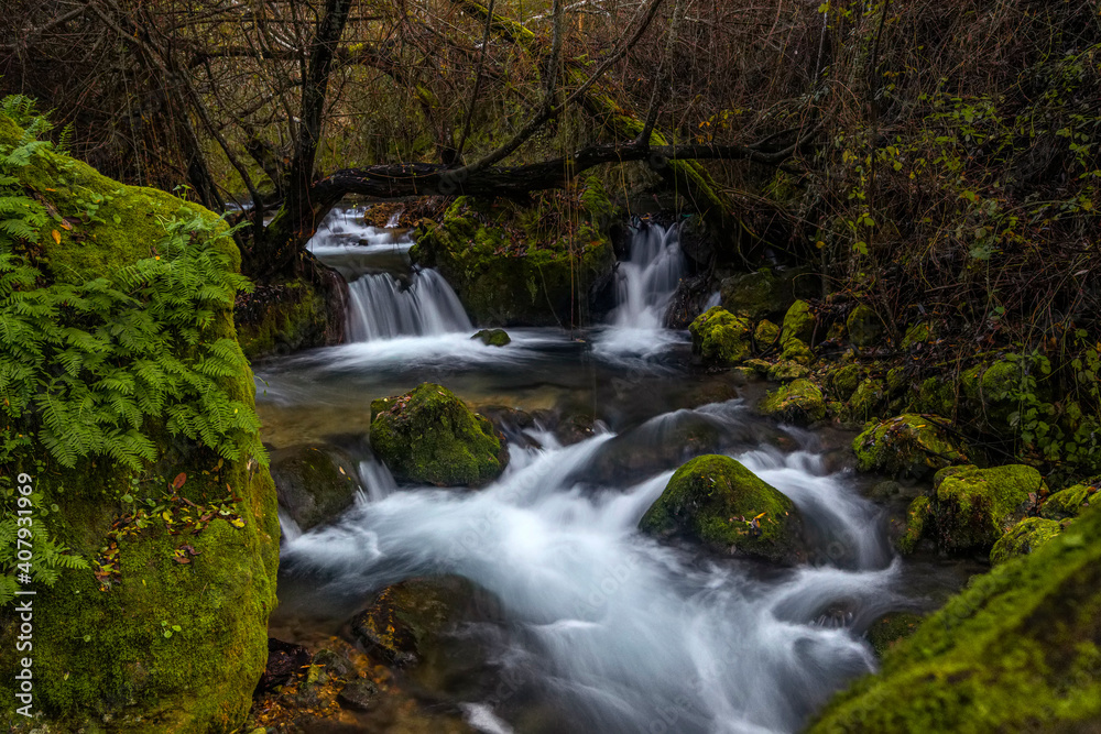 arroyo y cascadas entre follaje rocas y musgos 