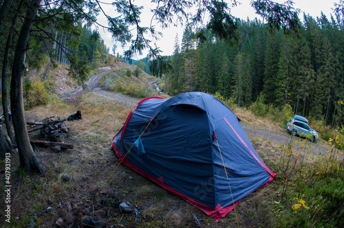 tourist tent stands on a green meadow against the backdrop of forests and peaks