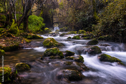 Fototapeta Naklejka Na Ścianę i Meble -  rio entre bosque y montaña con cascadas 