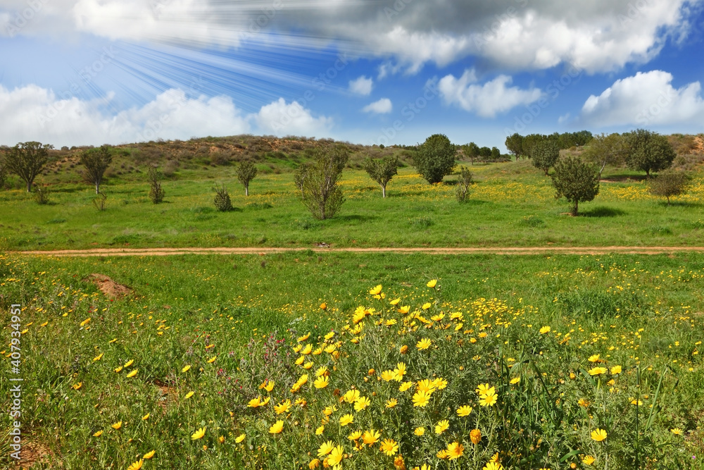 The cumulus clouds in th spring sky.