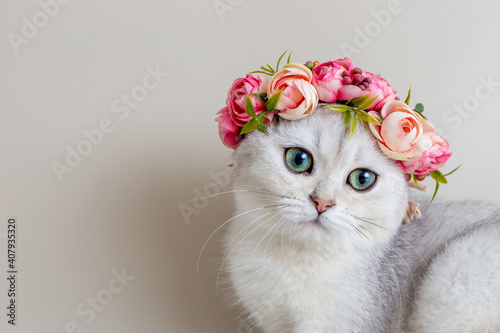 Cute white kitten wearing a crown of flowers on a gray background © Natasha 