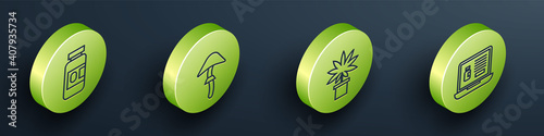 Set Isometric Medicine bottle and pills, Psilocybin mushroom, Marijuana or cannabis plant in pot and Buying drugs online on laptop icon. Vector.