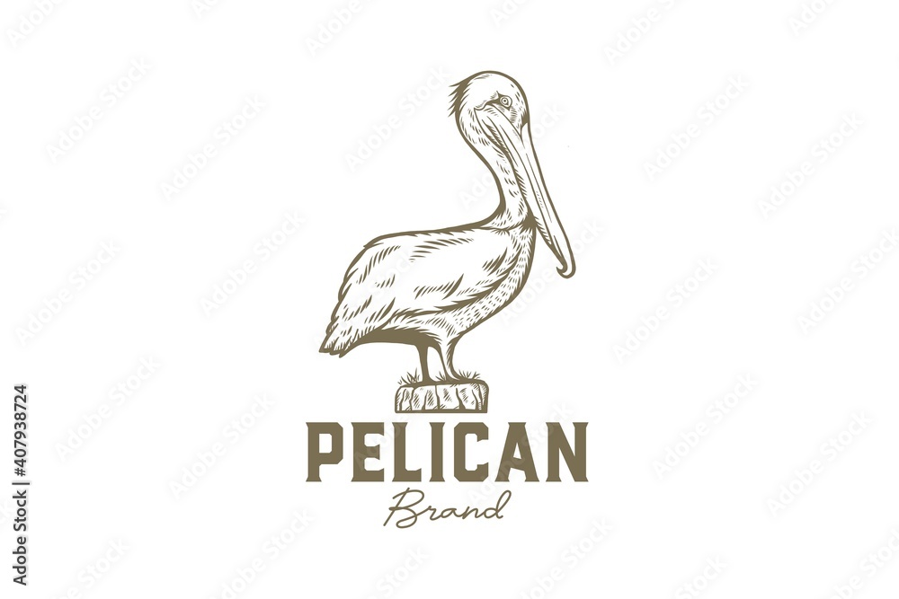 Hand Drawn Pelican Logo Template Stock Vector | Adobe Stock