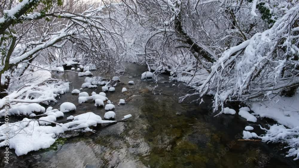 Winter nature scenery with water stream and trees covered in snow. River flowing around frost rocks.