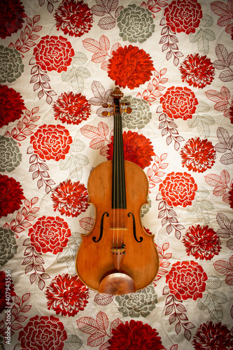 Viola on floral pattern background