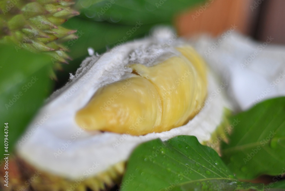 fresh split durian fruit with green leaves fresh split durian fruit with green leaves