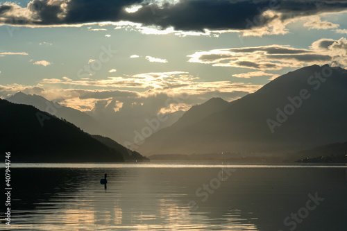 A swan crossing the Millstaetter lake in Austria during the sunset. The lake is surrounded by high Alps. Calm surface of the lake reflecting the sunbeams. The sun hides behind the thick clouds. Calm